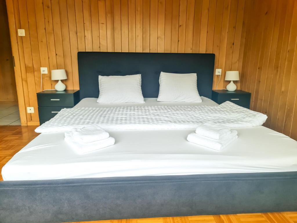 Abendberg Apartment - Aare Jungfrau Ag Wilderswil Esterno foto